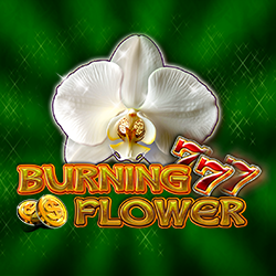Burning Flower